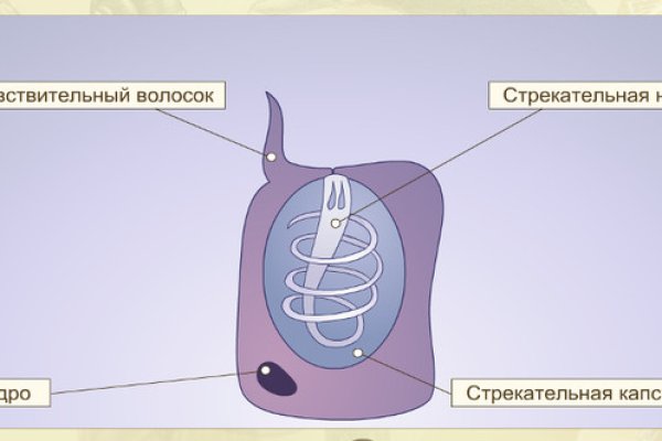 Кракен ссылка оригинал