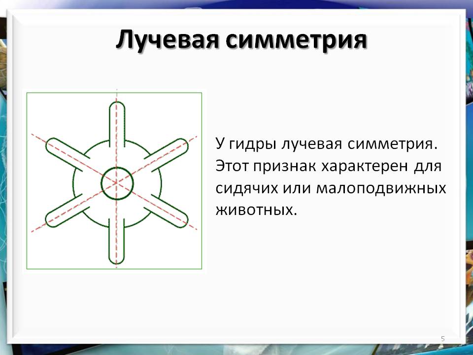 Кракен сайт вход официальный зеркало