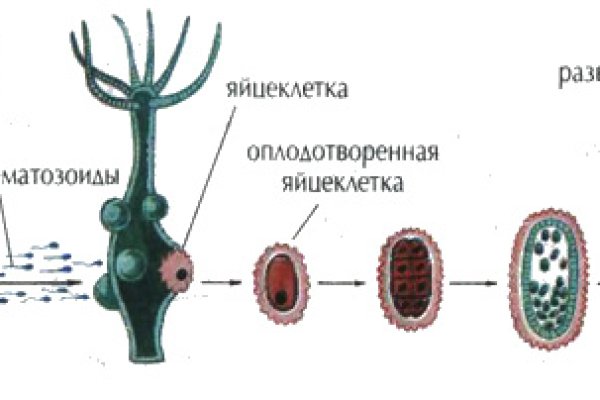Кракен это сайт